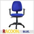 ե RACOON -饯- ʥ֥롼  GR-360S